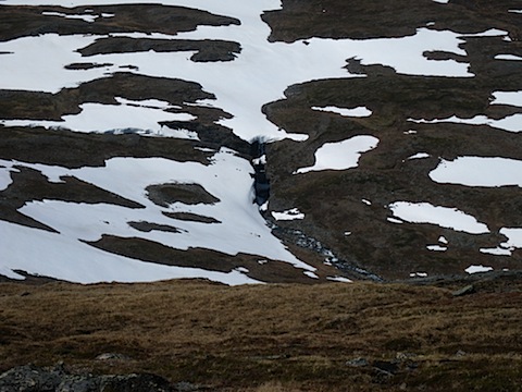 Abisko Juni 2009 dag 4 - 14.jpg